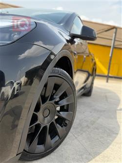 تسلا موديل Y